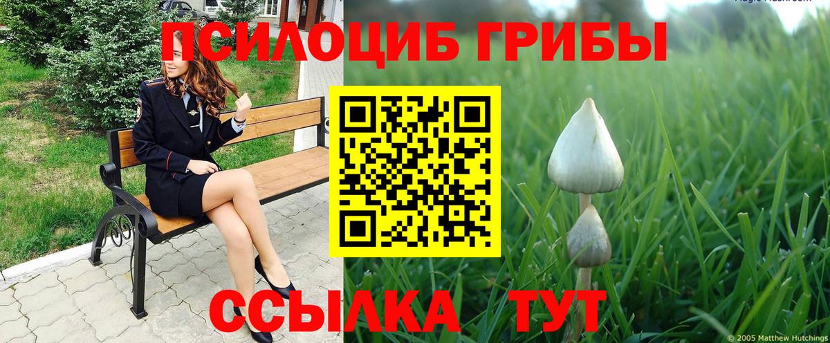 Псилоцибиновые грибы мицелий Балашиха