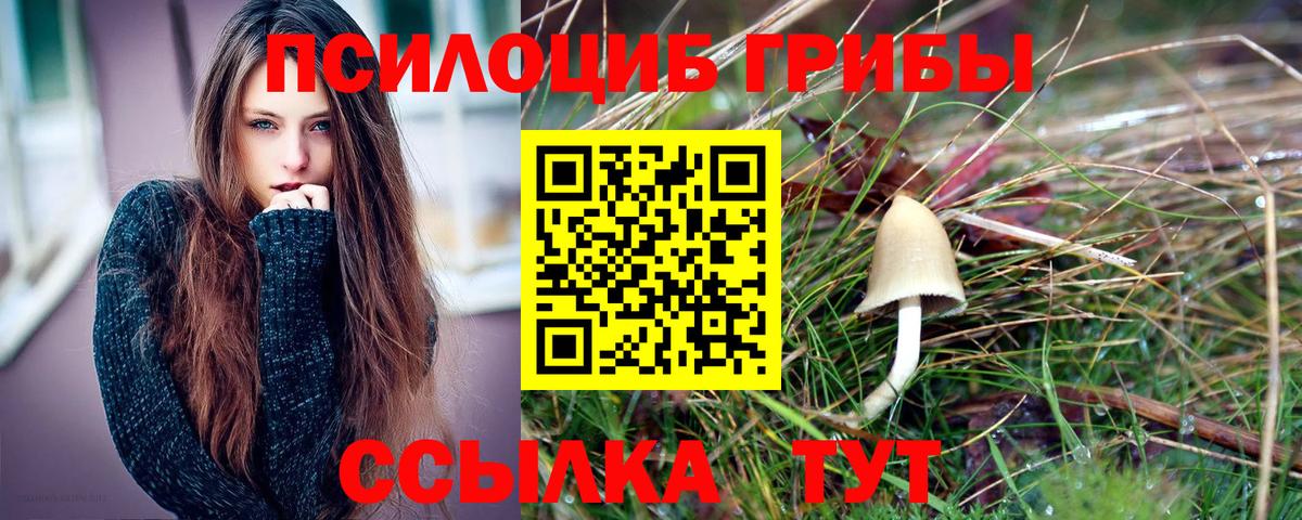 Псилоцибиновые грибы Cubensis  Вход с VPN  Балашиха  Галлюциногенные грибы MAGIC MUSHROOMS 